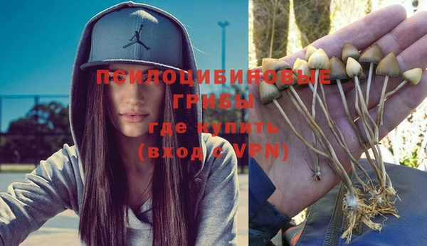 дживик Кукмор