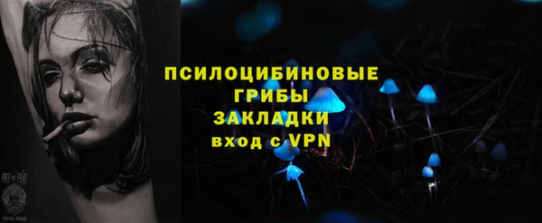 дживик Кукмор