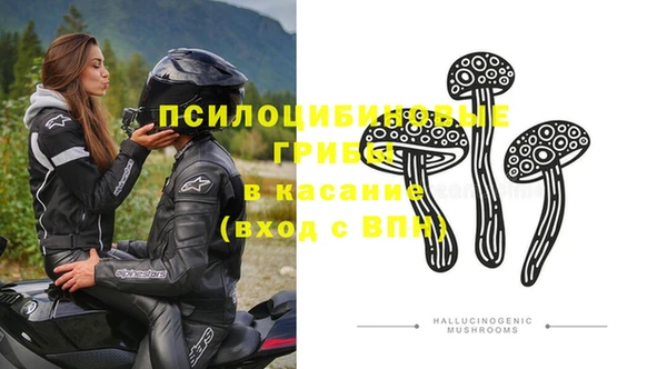 дживик Кукмор