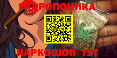 амф Гусь-Хрустальный