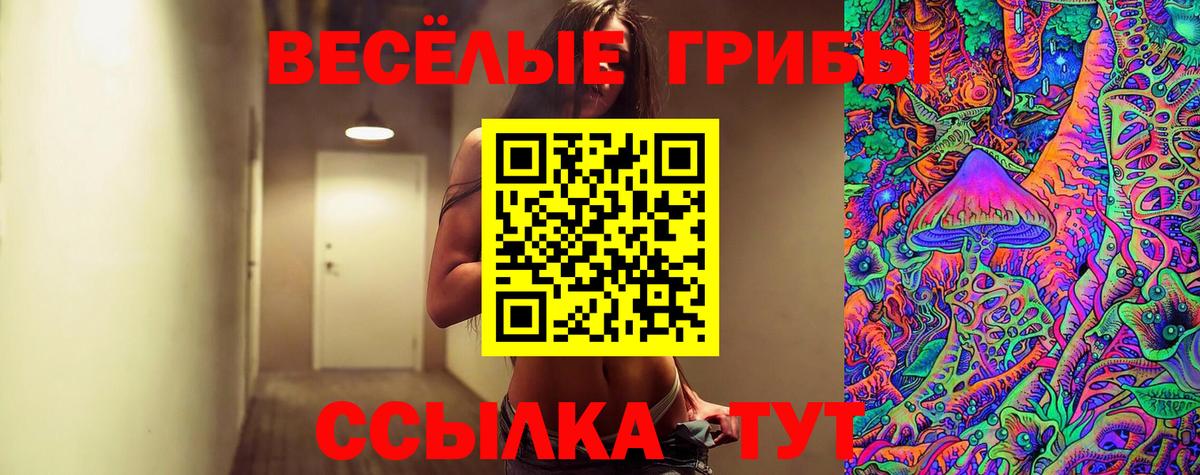 Галлюциногенные грибы прущие грибы Медногорск