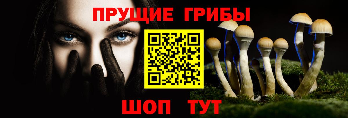 Галлюциногенные грибы Cubensis Медногорск