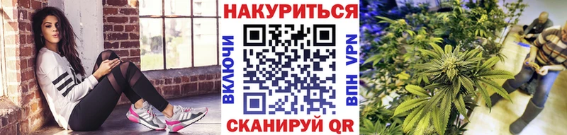Бошки марихуана White Widow  darknet формула  Медногорск 